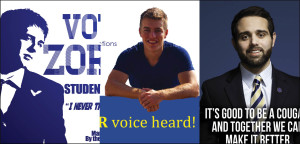 The three campaign posters from the candidates.